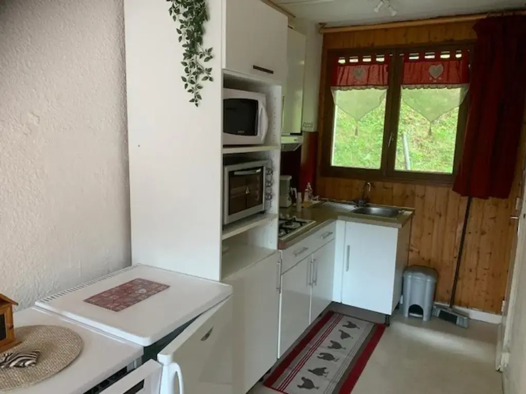 Appartement Mont-Dore, 3 pièces, 4 personnes - FR-1-415-93