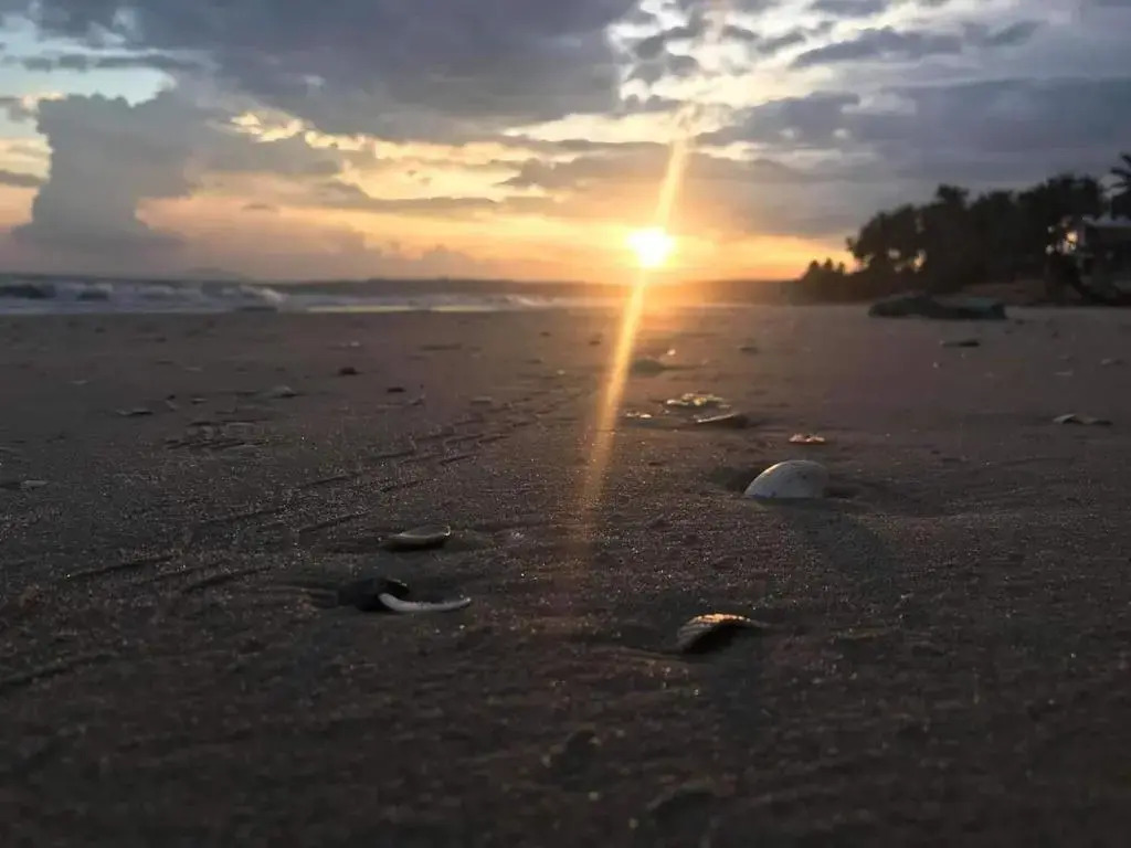 Sunday Lotus Garden Resort By The Sea Mui Ne