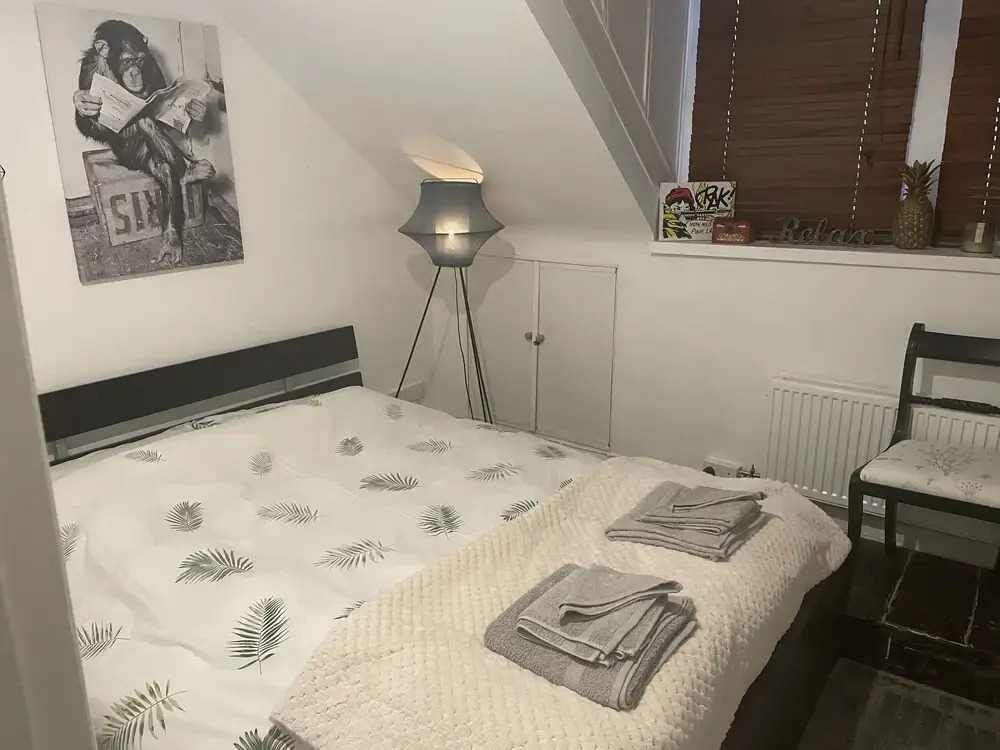 Entire Artistic Open-plan Top Floor Apartment