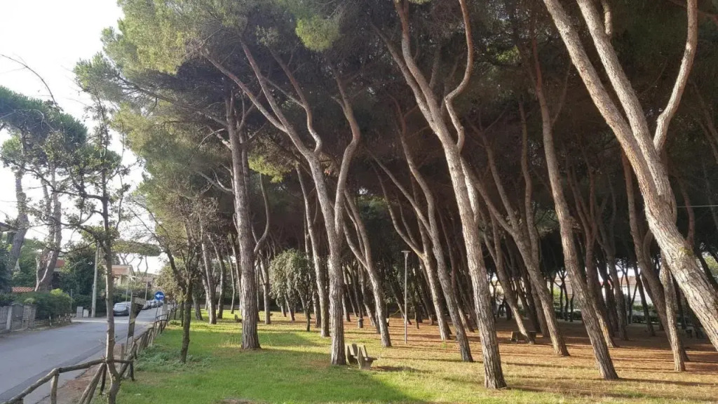 La locanda di Gioele