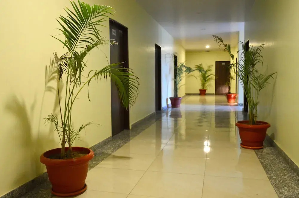 OYO 6697 Hotel Green Lemon