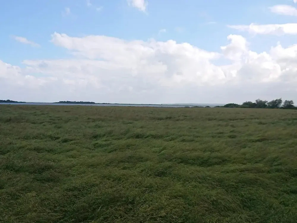 6 Person Holiday Home in Guldborg