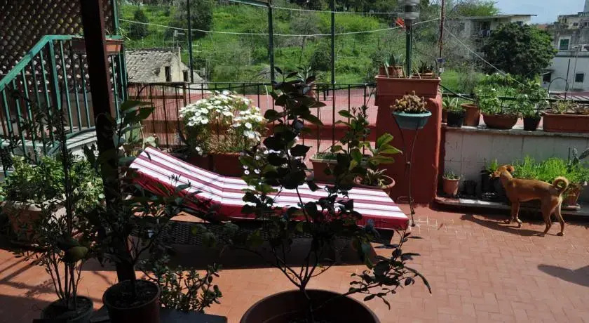 Marina Guest House