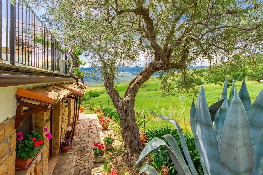 Villa Olmo With Private Pool - Happy Rentals