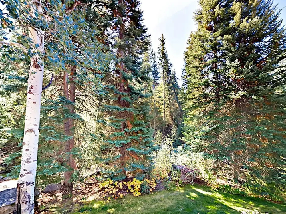 Woodland Retreat in Steamboat Springs by RedAwning