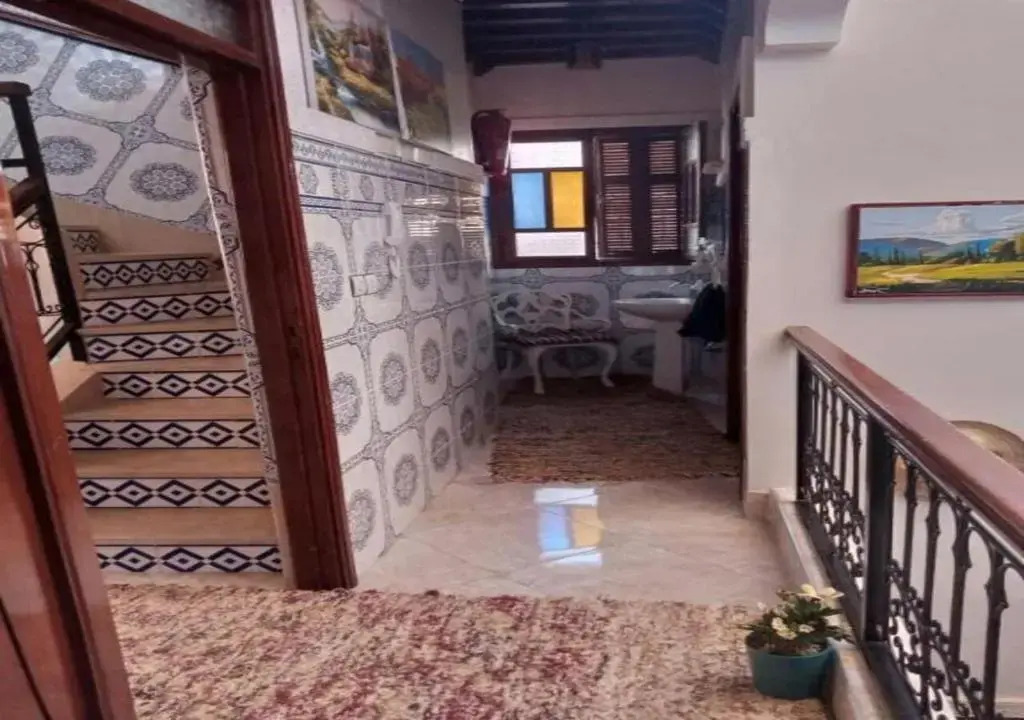 Hostel Dream belko