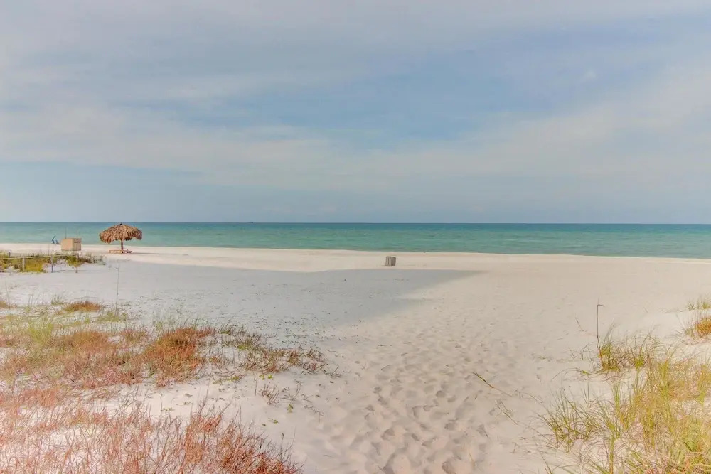 Blue Shores
