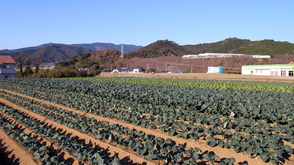 Hotel Select Inn Ehime Ainan-Cho