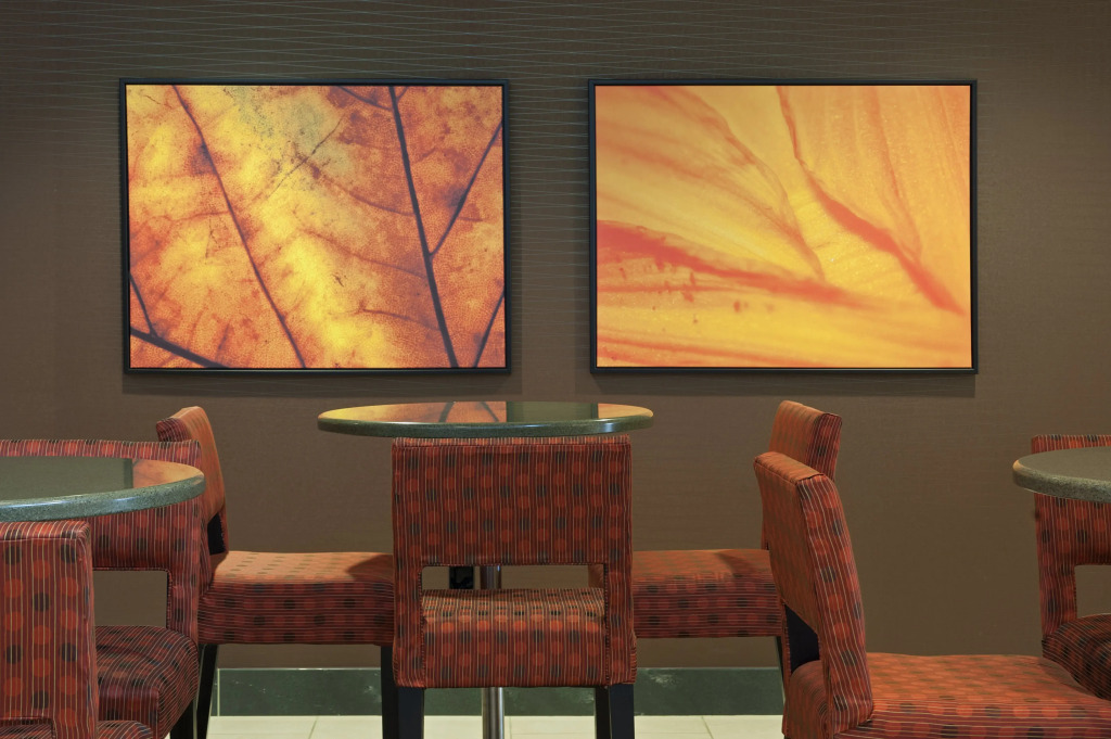 Holiday Inn Itasca - Woodfield Area