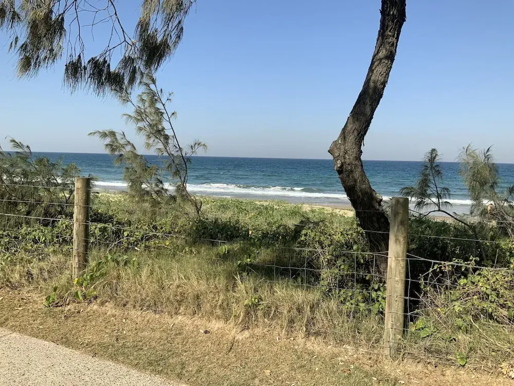 Alex beach resort unit 305