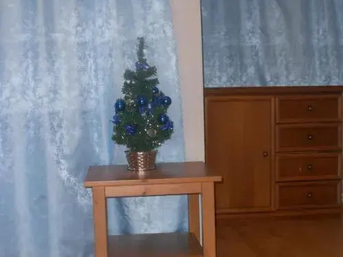 Apartaments Lis 2