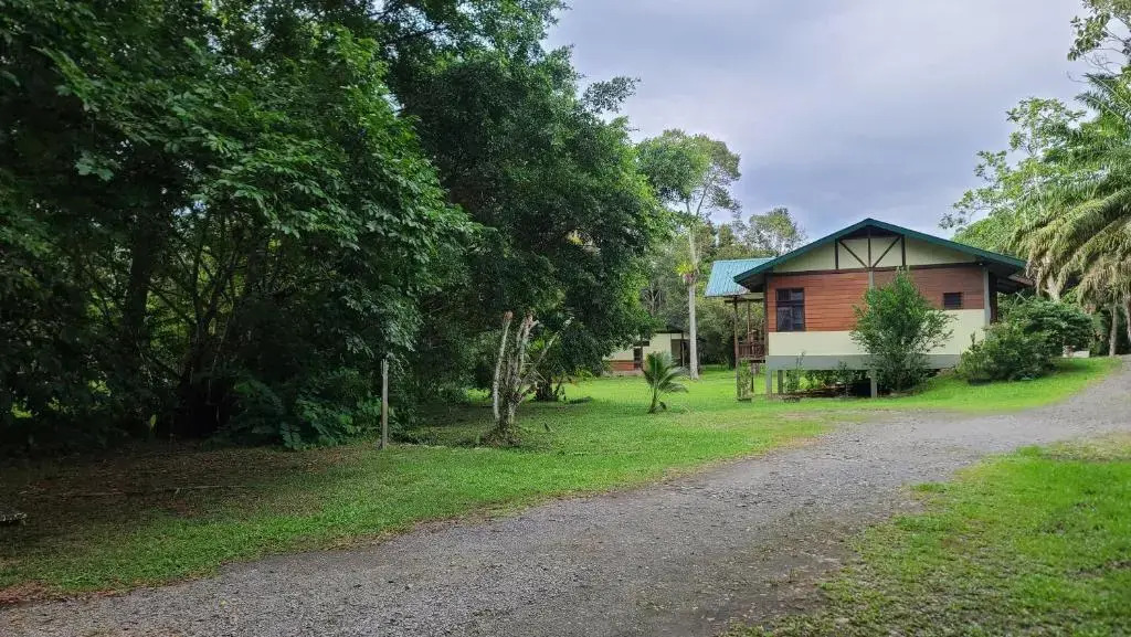 Sepilok B&B