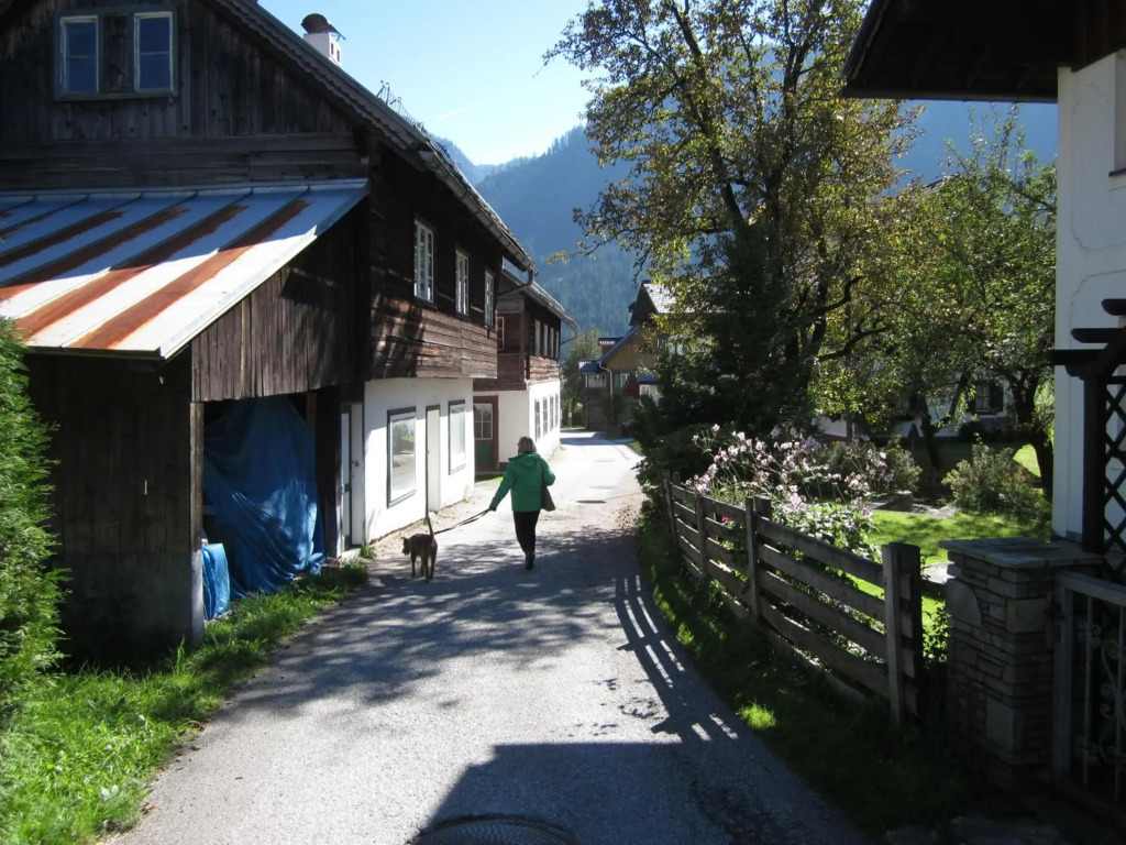 Apartment 14 Edelweiss Gosau