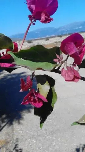 Simosmare Resort