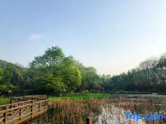 7 Days Premium Hotel Hangzhou West lake Hubin