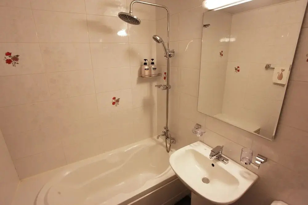 Petercat Hotel Shinchon
