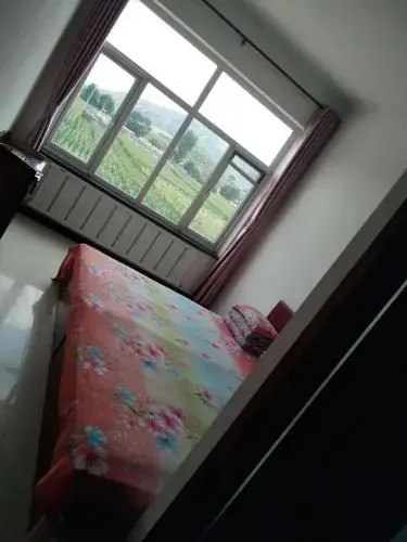 Jin Xin