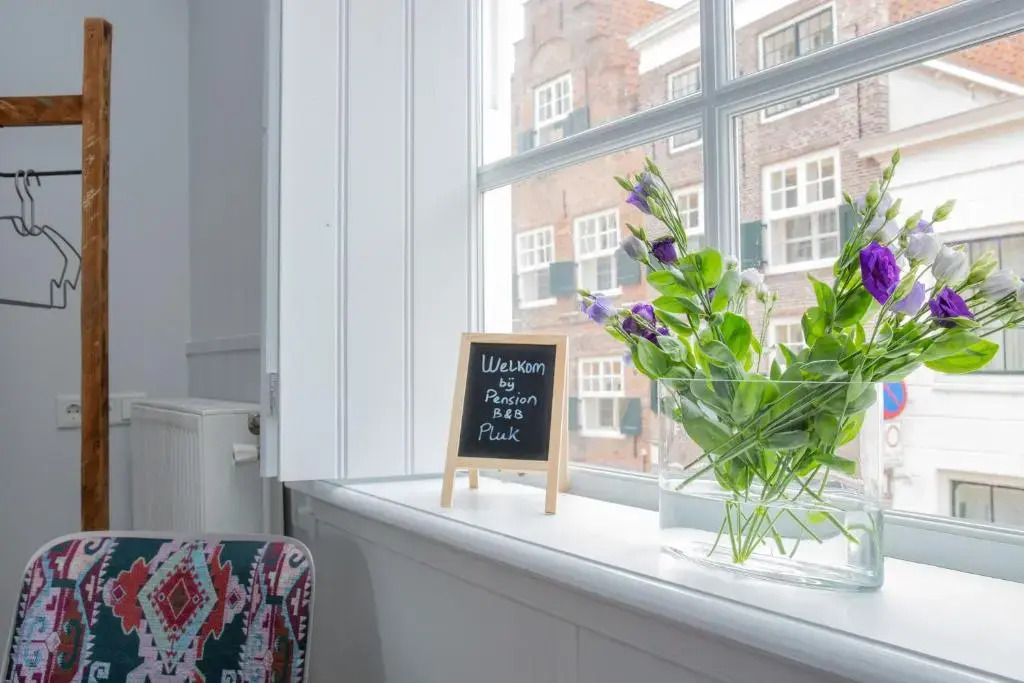 Pension B&B Pluk