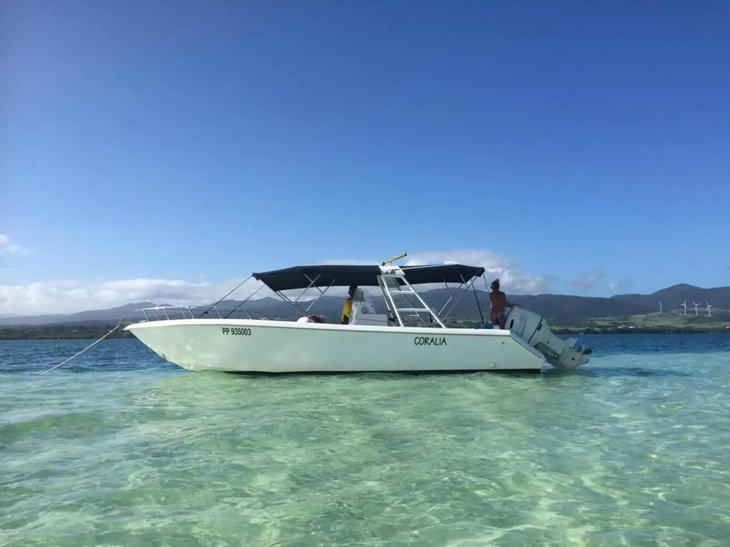 ZANNANNA F1 de charme tout équipé Le Moule avec piscine