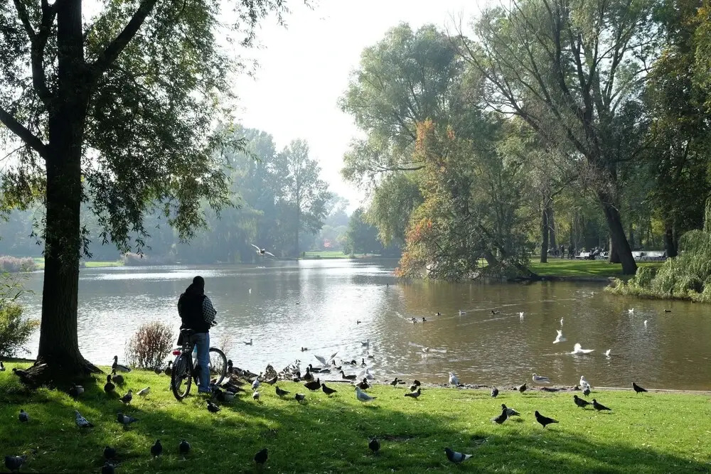 Parkzijde Bed & Breakfast