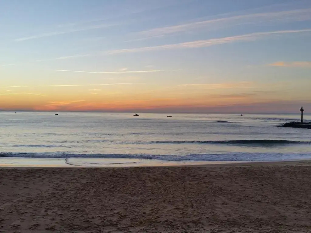 Appartement Capbreton, 4 pièces, 8 personnes - FR-1-239-484