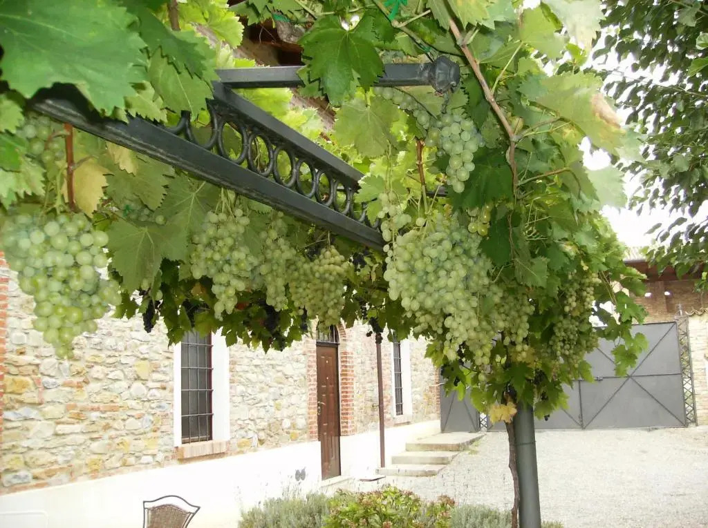 Agriturismo Casa Garello
