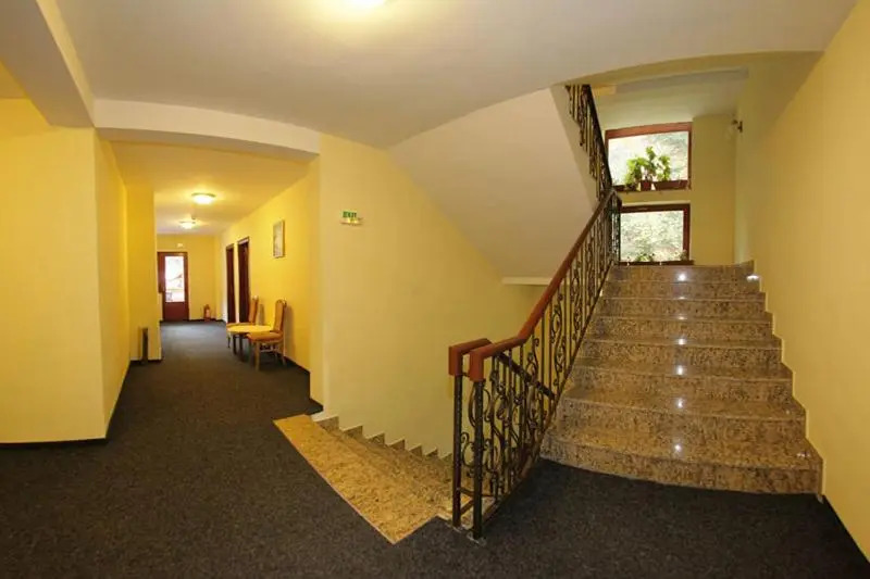 Hotel Paltinis