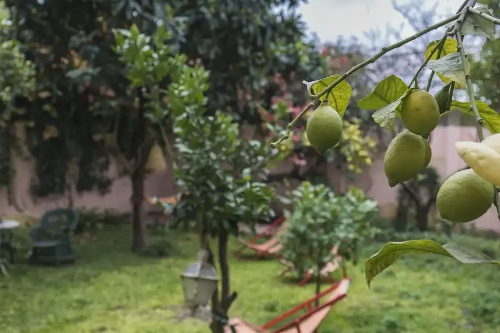 La Petite Maison de Lapa