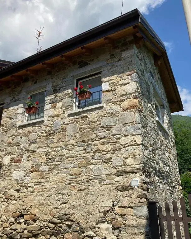 Il riccio di Ricciano