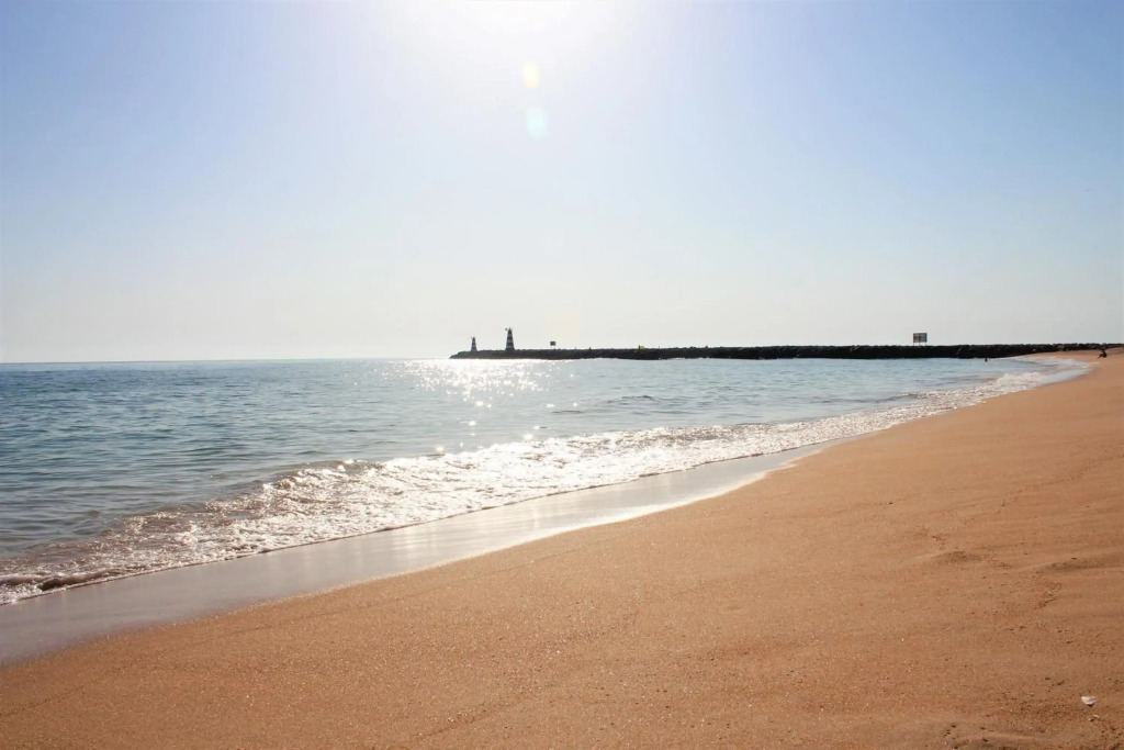 Vilamoura Dolphin Studio