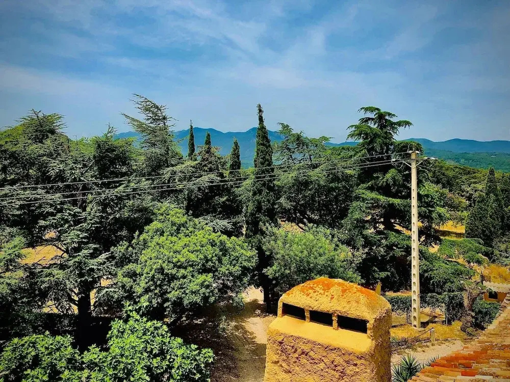 Masia Mimosa