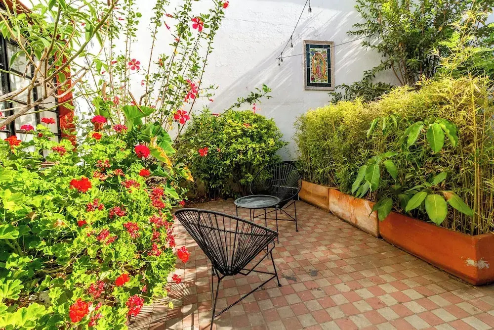 Flat in Colonia Americana with 1 Bedroom