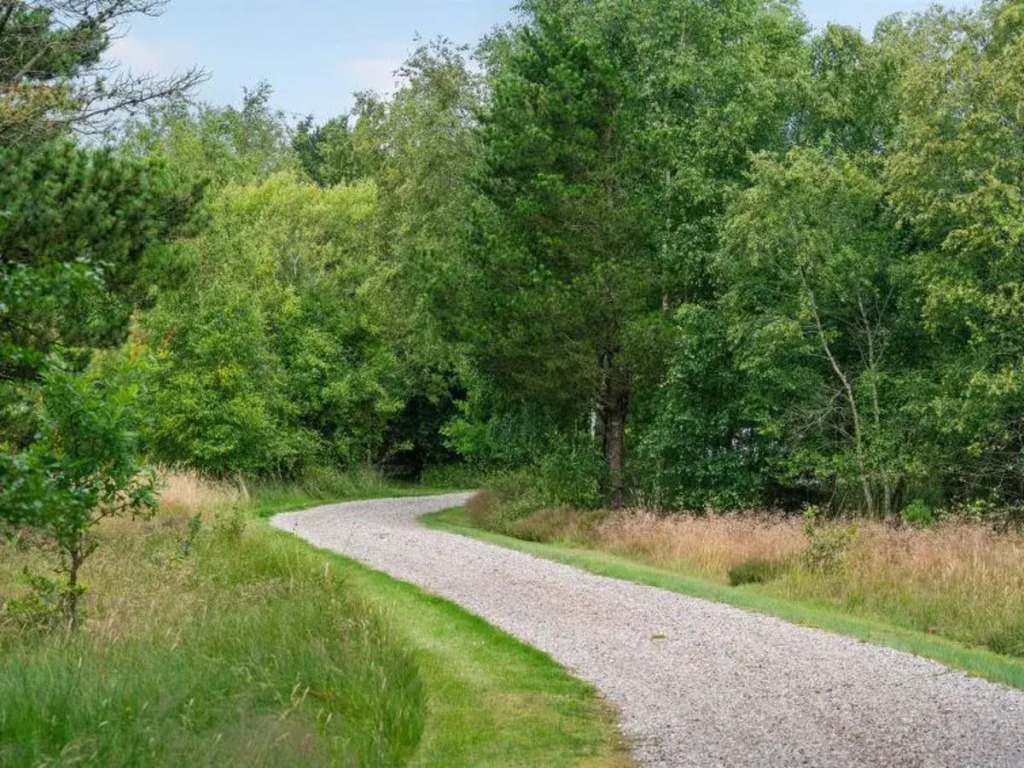 "Zeqir" - 2.7km from the sea in Western Jutland