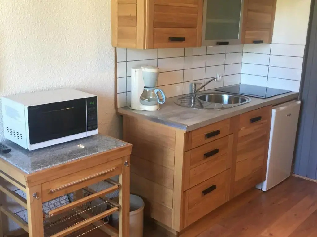 Appartement Chamonix-Mont-Blanc, 2 pièces, 3 personnes - FR-1-517-54