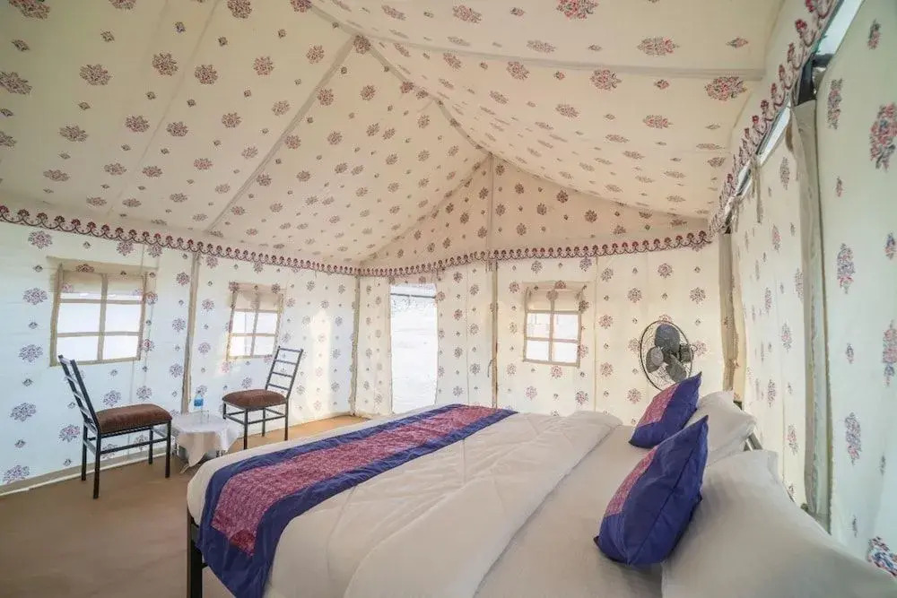 Amazing Desert Camp