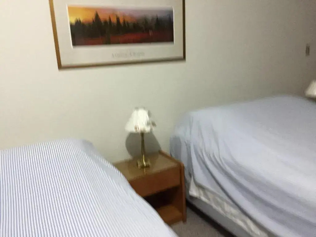 Hotel Jardim