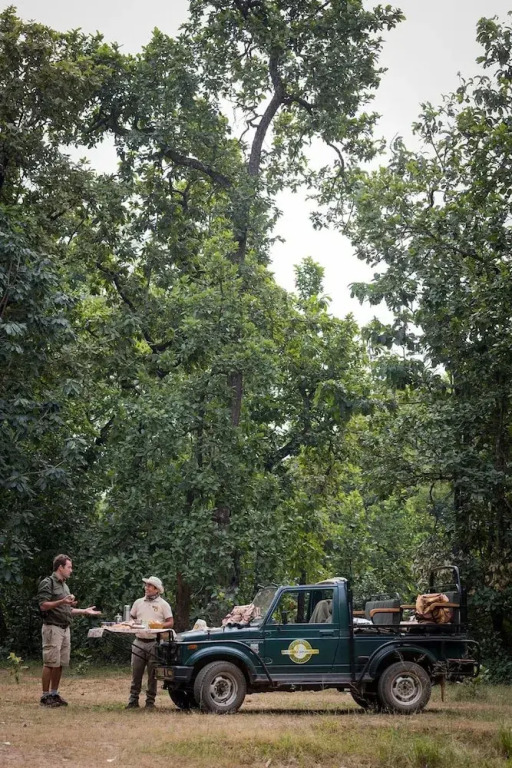 Pugdundee Safaris- Tree House Hideaway