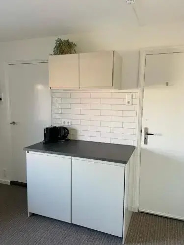 Divi Divi Zandvoort