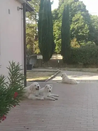 La casa di Spineto