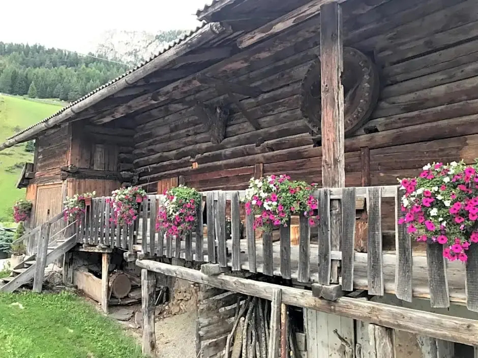 Garni Neidia