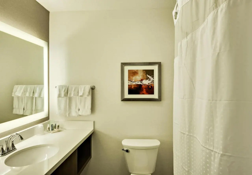 Holiday Inn St. George Conv Ctr by IHG