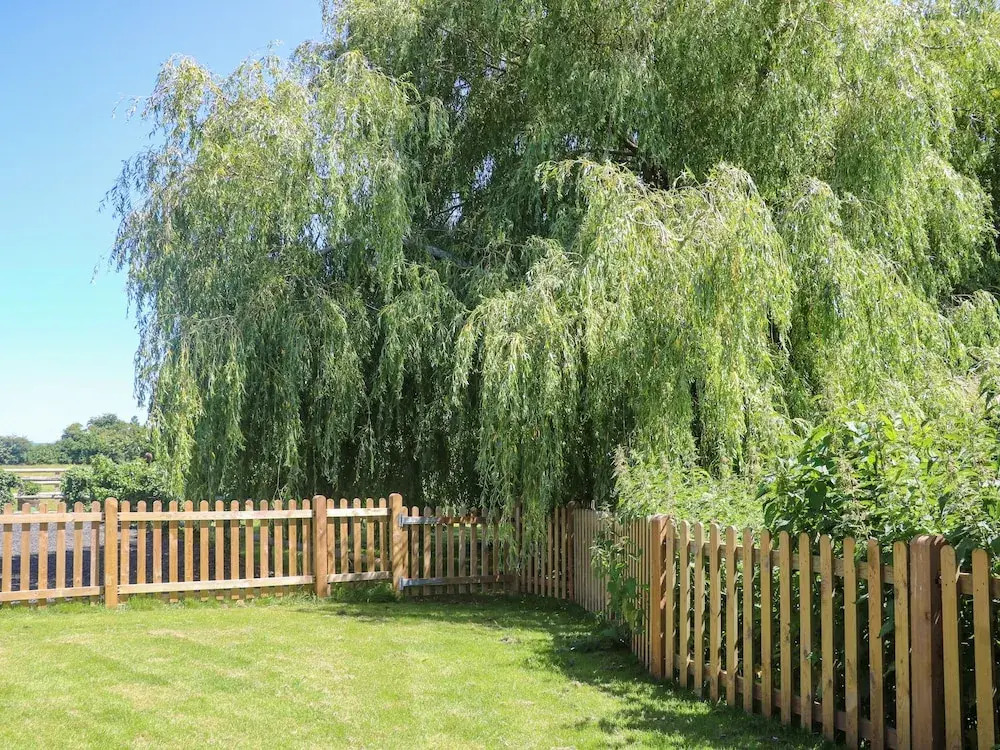 Willow Pod
