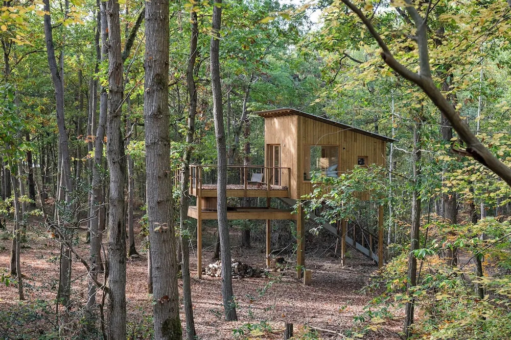Youza ecolodge cabanes dans les arbres
