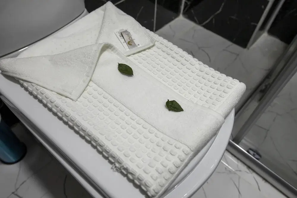Hotel Mount Ararat