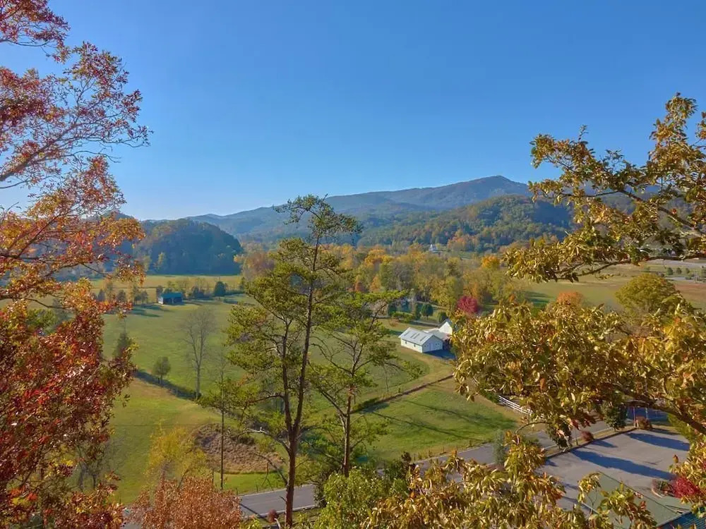 Mountain Paws Retreat 5 Bedroom Home with Hot Tub