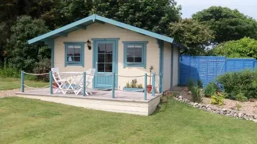 The Cabin with the View (Adults Only)