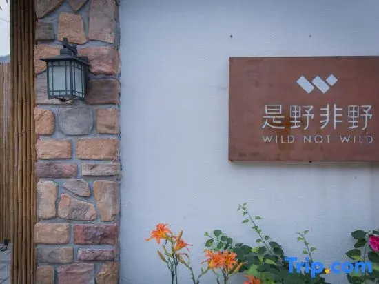 Wild Not Wild