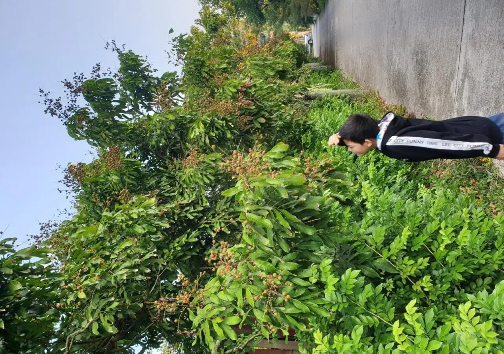 Honeyland Resort