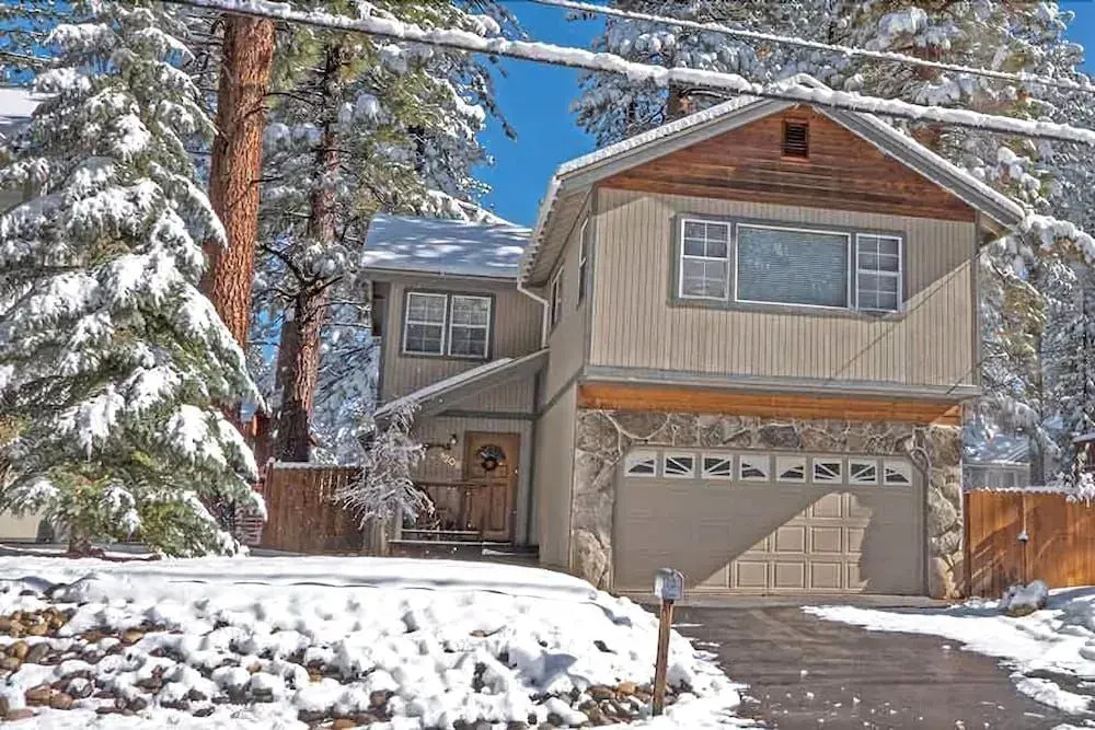1209 Golden Bear By Redawning
