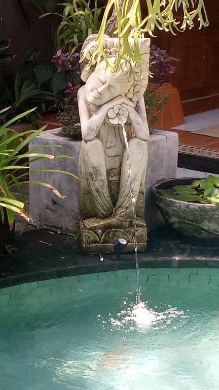 The Sujana Ubud